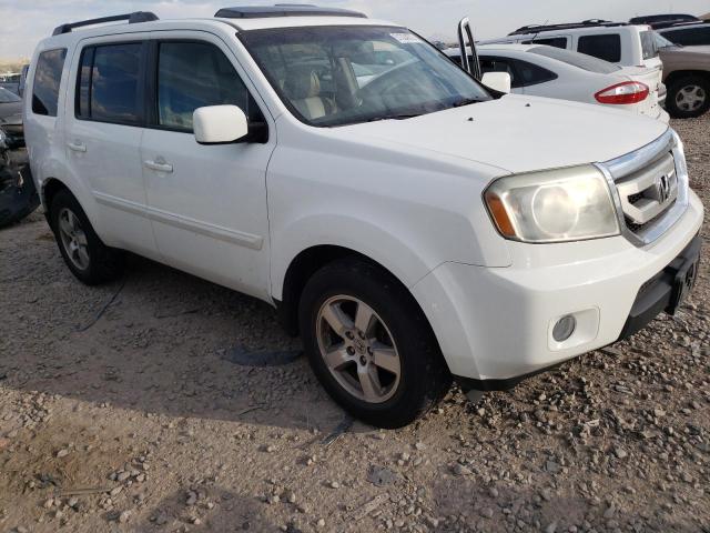 HONDA PILOT EXL 2011 with VIN 5FNYF4H64BB012013 - Photo from auction