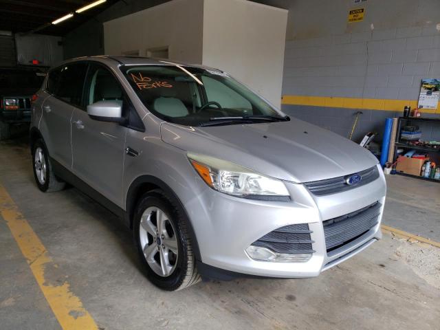 FORD ESCAPE SE 2014 with VIN 1FMCU0GX3EUE06404 - Photo from auction