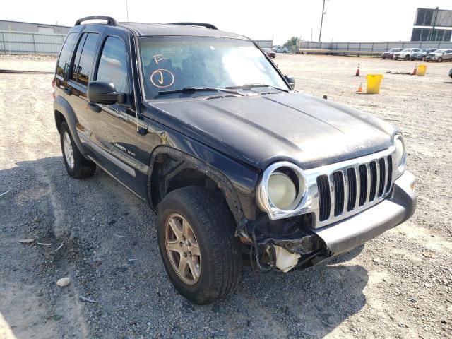 JEEP LIBERTY SP 2002 with VIN 1J4GL48K62W334482 - Photo from auction