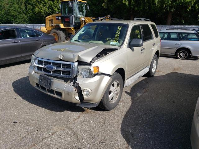 Photo 2 from auction – 2010 FORD ESCAPE XLT with VIN 1FMCU0D77AKA55071