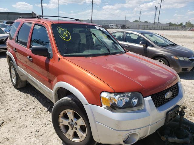 FORD ESCAPE XLT 2007 with VIN 1FMYU03147KB28442 - Photo from auction