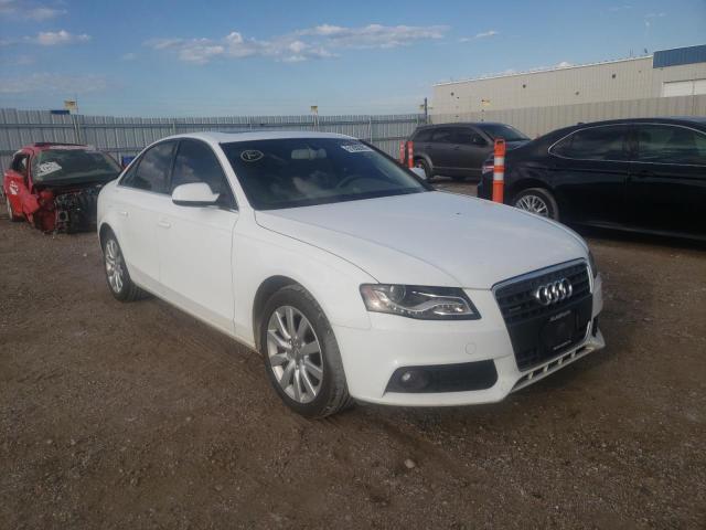 AUDI A4 PREMIUM 2010 مع رقم تعريف المركبة WAUFFAFL3AN055768 - صورة من المزاد