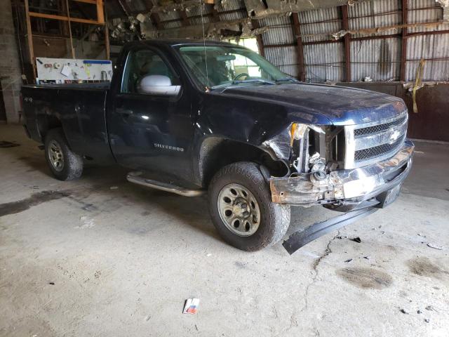 CHEVROLET SILVERADO 2010 with VIN 1GCPKPEX9AZ268517 - Photo from auction