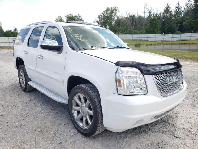 GMC YUKON DENA 2008 with VIN 1GKFK63878J197445 - Photo from auction