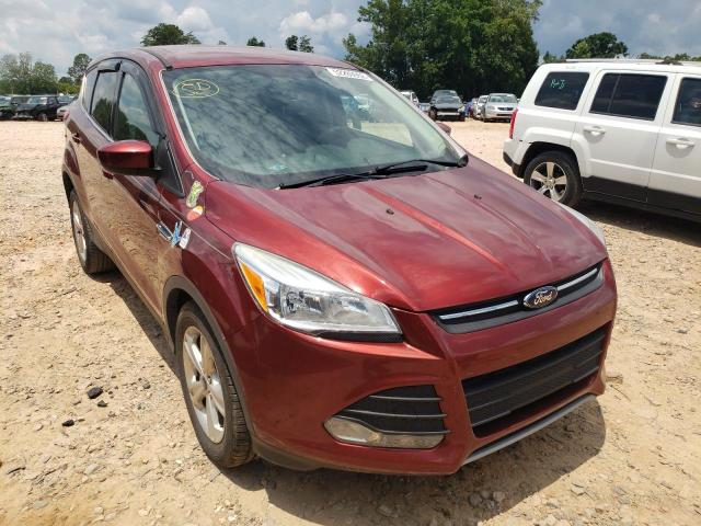 FORD ESCAPE SE 2014 with VIN 1FMCU0GX0EUA19096 - Photo from auction