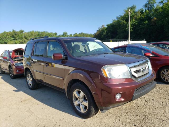 HONDA PILOT EX 2010 with VIN 5FNYF4H42AB006031 - Photo from auction