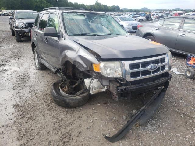 FORD ESCAPE XLT 2009 with VIN 1FMCU03G59KA32496 - Photo from auction