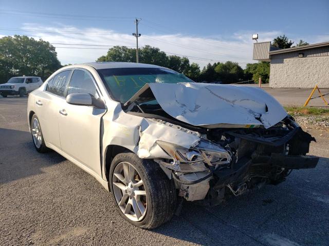 NISSAN MAXIMA S 2009 with VIN 1N4AA51E19C857079 - Photo from auction