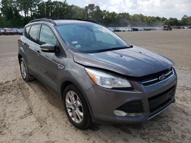 FORD ESCAPE SEL 2013 with VIN 1FMCU0HXXDUC58121 - Photo from auction