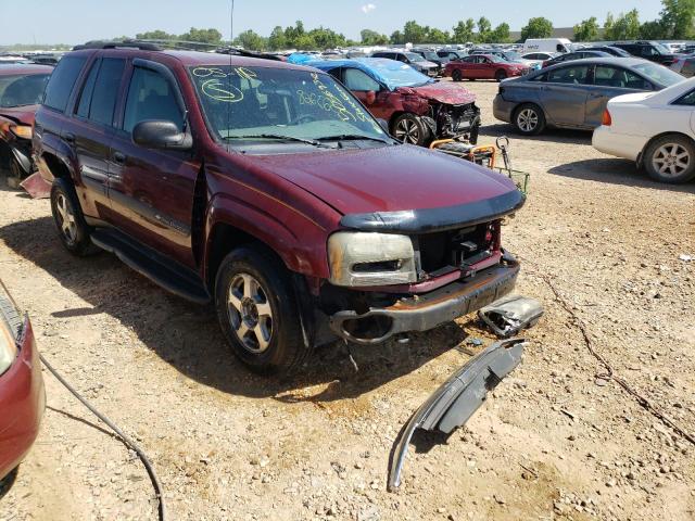 CHEVROLET TRAILBLAZE 2004 with VIN 1GNDT13S042282606 - Photo from auction