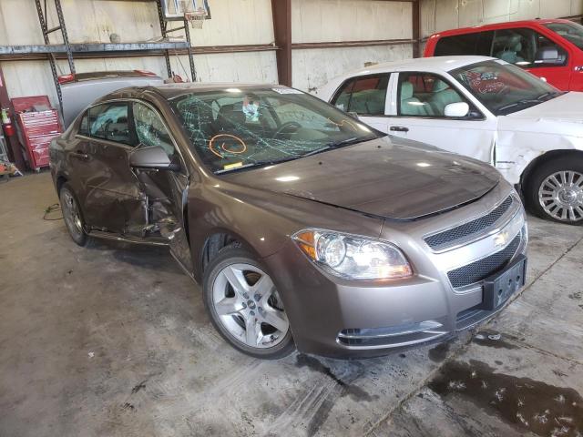 CHEVROLET MALIBU 1LT 2010 with VIN 1G1ZC5EB8AF126166 - Photo from auction