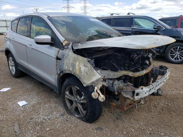 FORD ESCAPE SE 2013 with VIN 1FMCU0GX2DUB38511 - Photo from auction