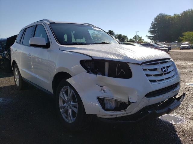 HYUNDAI SANTA FE S 2010 with VIN 5NMSHDAG1AH353045 - Photo from auction