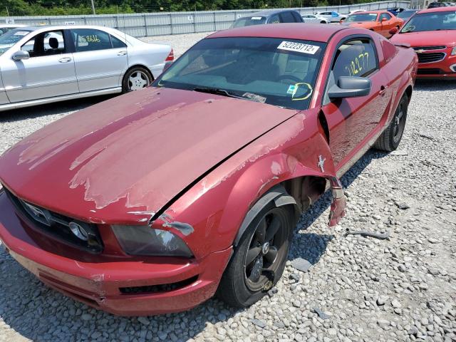 Photo 2 from auction – 2008 FORD MUSTANG with VIN 1ZVHT80N985185181