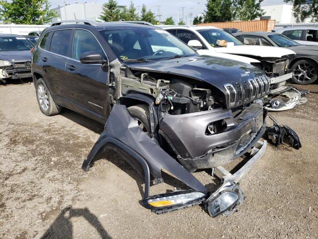 JEEP CHEROKEE L 2016 with VIN 1C4PJMDSXGW356512 - Photo from auction