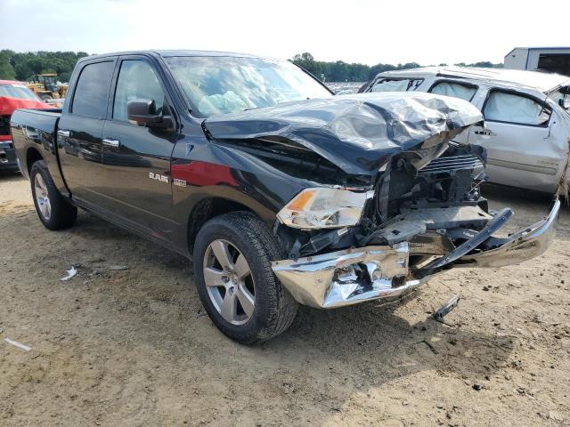 DODGE RAM 1500 2009 with VIN 1D3HB13T09S734543 - Photo from auction
