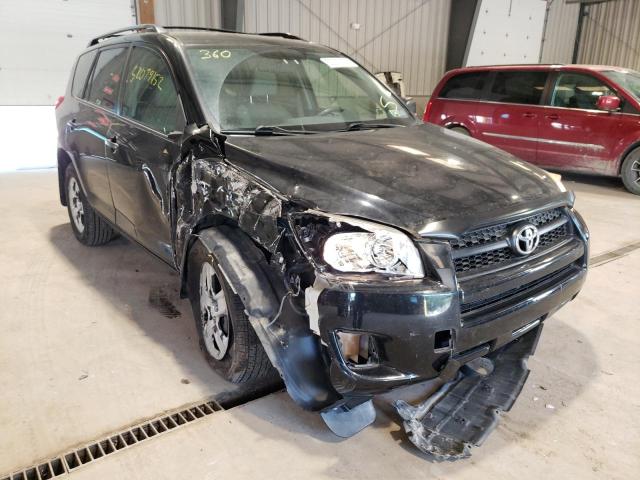 TOYOTA RAV4 2009 with VIN 2T3BF33V59W004974 - Photo from auction