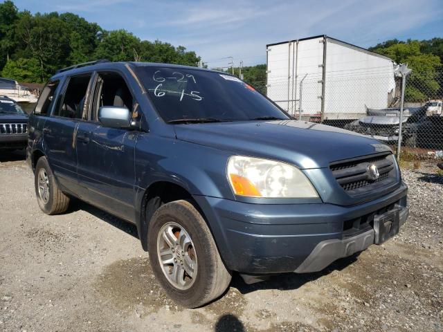 HONDA PILOT EXL 2005 with VIN 5FNYF18585B048040 - Photo from auction