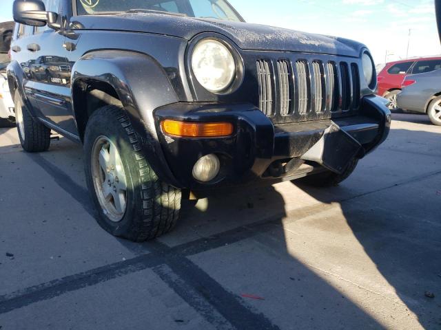 Photo 9 from auction – 2002 JEEP LIBERTY with VIN 1J4GL58K82W179326