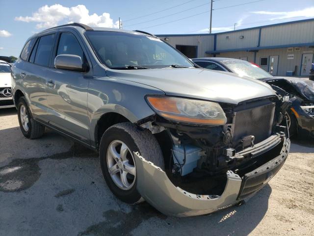 HYUNDAI SANTA FE G 2008 with VIN 5NMSG13D68H209621 - Photo from auction