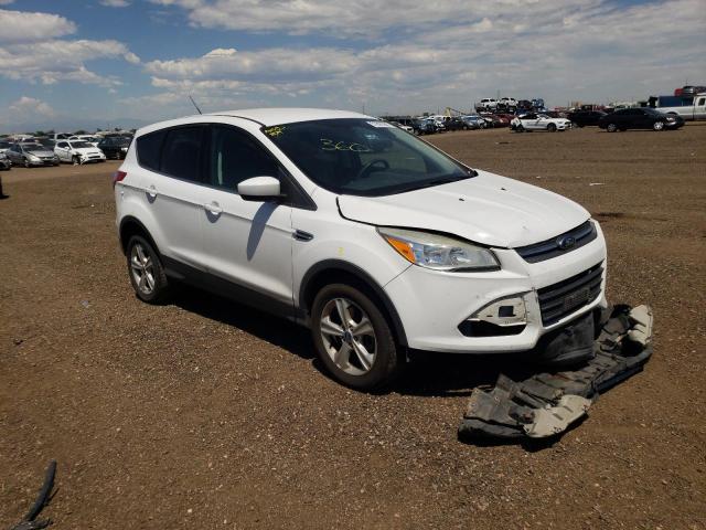 FORD ESCAPE SE 2013 with VIN 1FMCU9GX4DUA11702 - Photo from auction