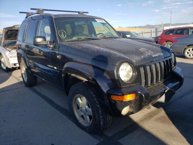 JEEP LIBERTY 2002 with VIN 1J4GL58K82W179326 - Photo from auction