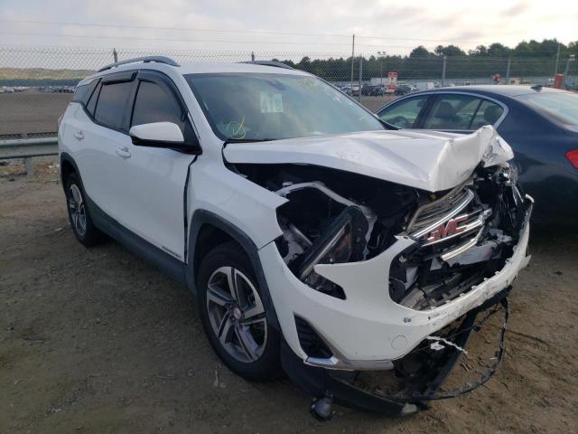 GMC TERRAIN SL 2020 with VIN 3GKALVEV0LL341035 - Photo from auction