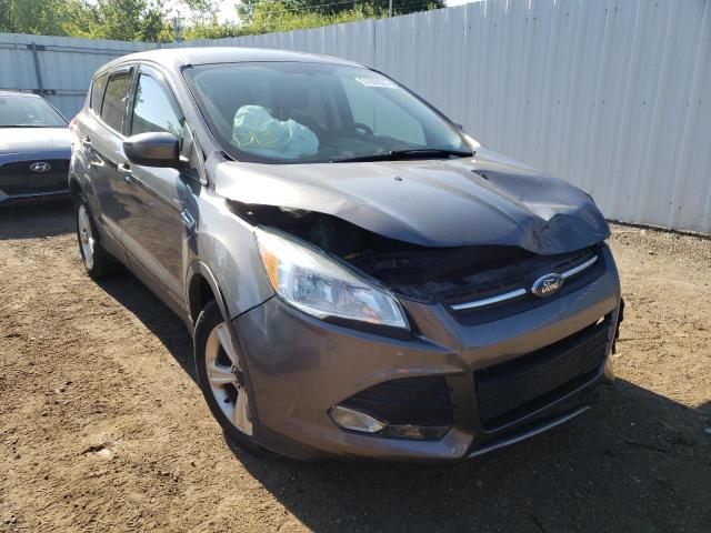 FORD ESCAPE SE 2014 with VIN 1FMCU9GX3EUA03558 - Photo from auction