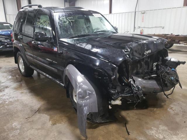 JEEP LIBERTY SP 2002 with VIN 1J4GL48K62W208994 - Photo from auction