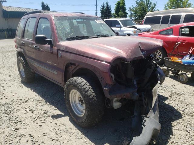 Photo 1 from auction – 2002 JEEP LIBERTY with VIN 1J4GL48K22W350209