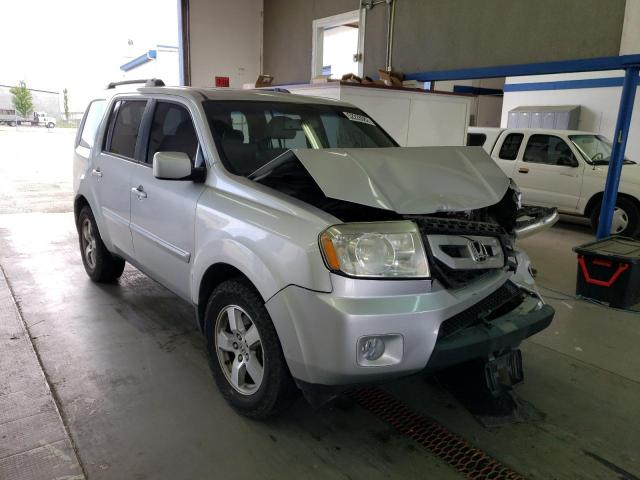 HONDA PILOT EXL 2009 with VIN 5FNYF386X9B012649 - Photo from auction