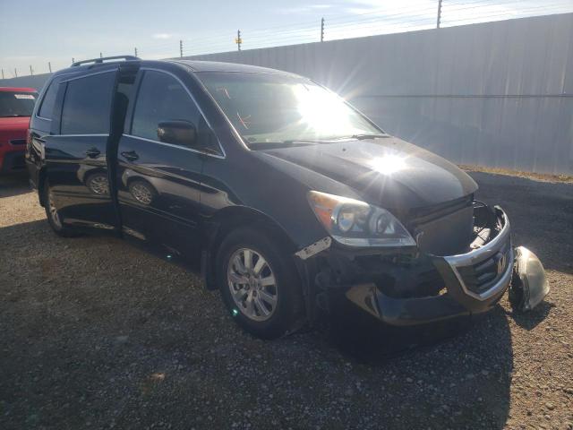 HONDA ODYSSEY EX 2009 with VIN 5FNRL38619B504130 - Photo from auction