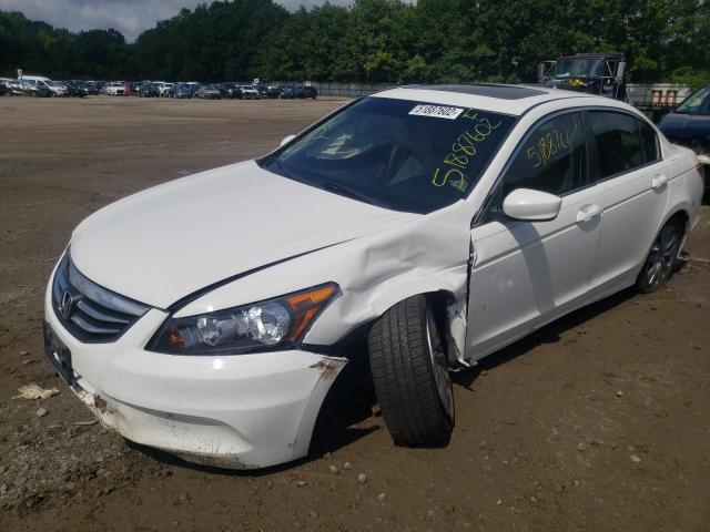 Photo 2 from auction – 2011 HONDA ACCORD EXL with VIN 1HGCP2F89BA111159
