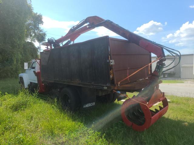 Снимка 3 от търг – 1984 FORD F6000 с VIN 1FDNK64N6EVA49413