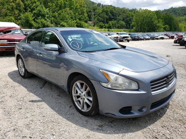 Photo 1 from auction – 2010 NISSAN MAXIMA S with VIN 1N4AA5APXAC842991