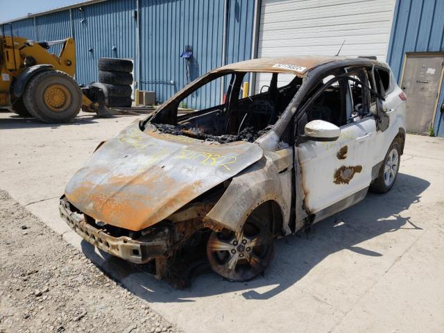 Photo 2 from auction – 2014 FORD ESCAPE SE with VIN 1FMCU0G92EUD38579