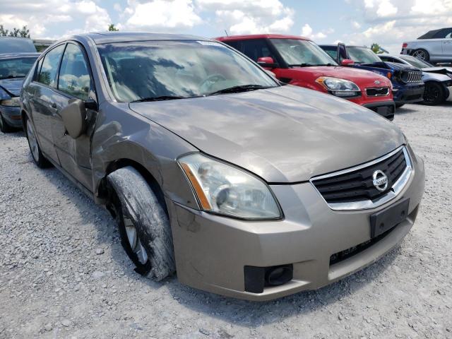 NISSAN MAXIMA SE 2007 with VIN 1N4BA41E77C862590 - Photo from auction