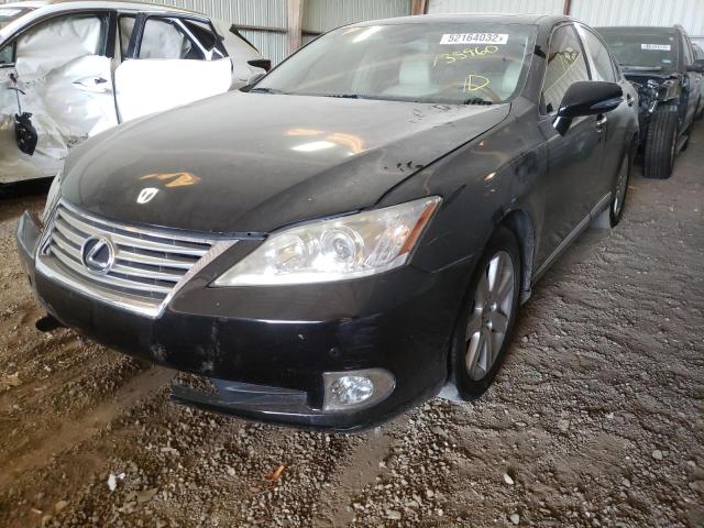 Photo 2 from auction – 2011 LEXUS ES 350 with VIN JTHBK1EG0B2455211