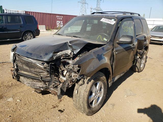 Photo 2 from auction – 2010 FORD ESCAPE XLT with VIN 1FMCU0DG1AKA02799