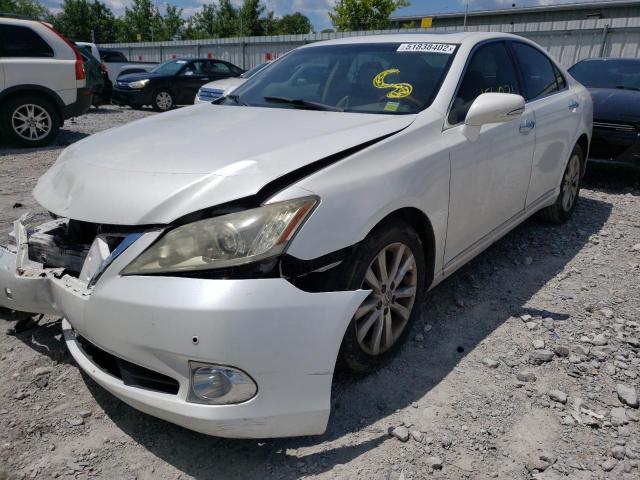 Photo 2 from auction – 2011 LEXUS ES 350 with VIN JTHBK1EG6B2425162