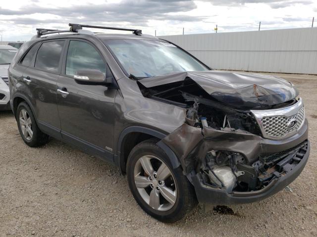 KIA SORENTO EX 2013 with VIN 5XYKUDA26DG407907 - Photo from auction