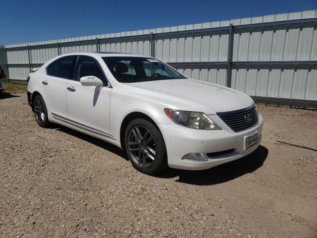 LEXUS LS 460 2009 with VIN JTHCL46F095002854 - Photo from auction