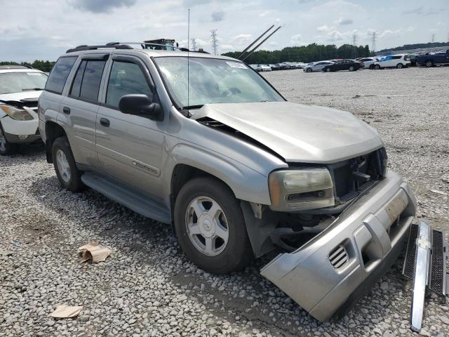 CHEVROLET TRAILBLAZE 2002 with VIN 1GNDS13S222490096 - Photo from auction