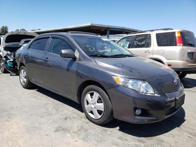 TOYOTA COROLLA BA 2009 with VIN JTDBL40E899032464 - Photo from auction