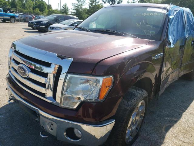Photo 9 from auction – 2010 FORD F150 SUPER with VIN 1FTFW1EV0AFB24576