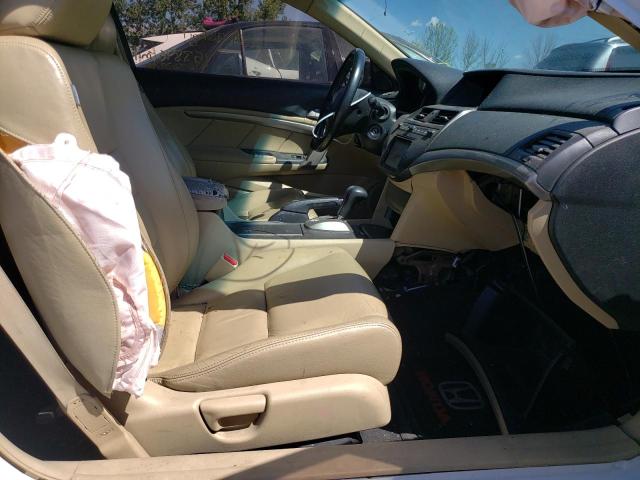 Photo 5 from auction – 2009 HONDA ACCORD EXL with VIN 1HGCS12869A013098