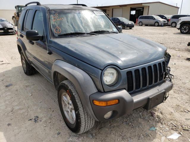 Photo 1 from auction – 2002 JEEP LIBERTY SP with VIN 1J4GK48KX2W307059
