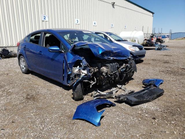 KIA FORTE LX 2014 with VIN KNAFK4A61E5082567 - Photo from auction