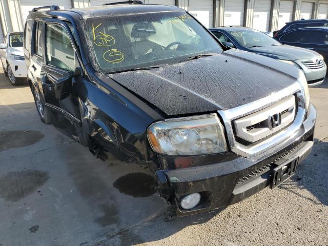 HONDA PILOT EXL 2011 with VIN 5FNYF4H60BB036616 - Photo from auction