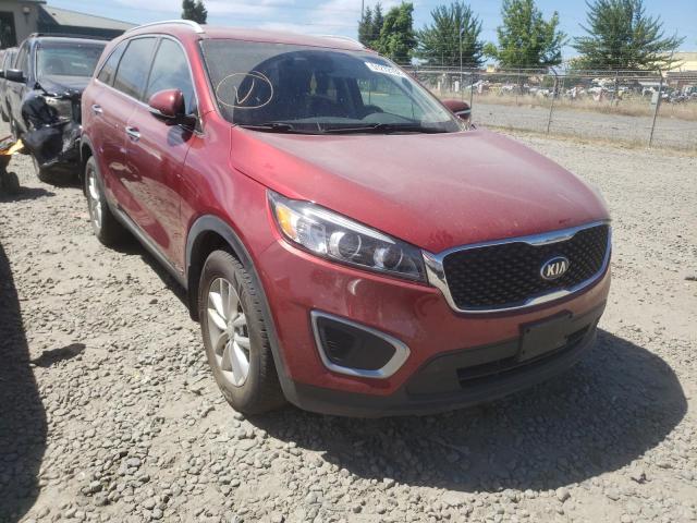 KIA SORENTO LX 2017 with VIN 5XYPGDA35HG191995 - Photo from auction